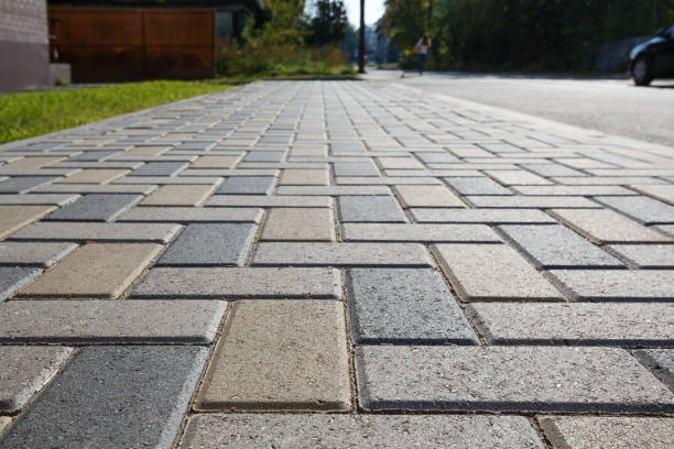 Best Driveway Pavers Near Me  in Jonesborough, TN