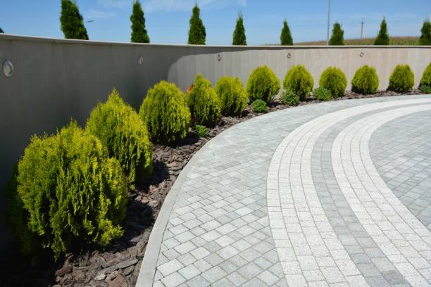 Best Commercial Driveway Pavers  in Jonesborough, TN